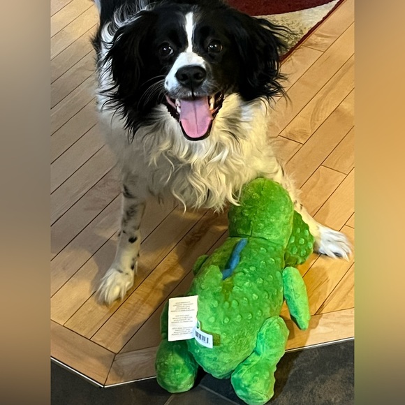 Meet your Posher, Mandy - Picture 6 of 12